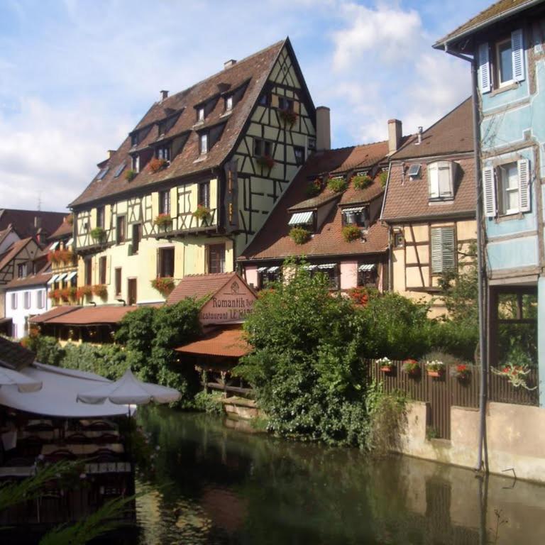 Margot - hyper centre Colmar - Apartment - 41