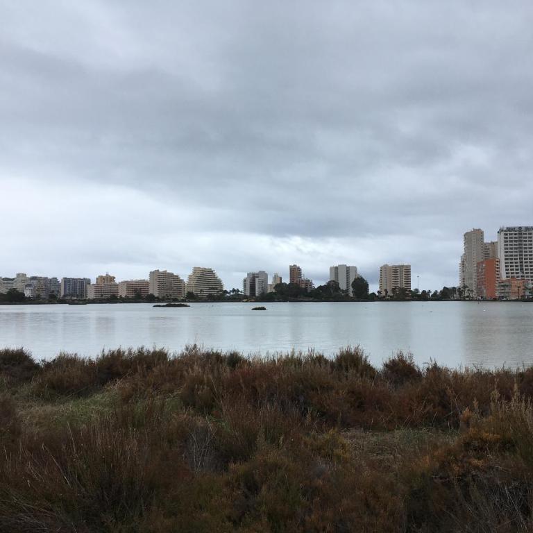 Apartamento en Calpe, playa de La Fossa, primera línea, AA - Apartamento de 1 dormitorio - 69