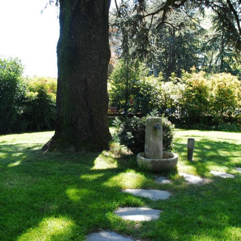 La Villa Del Cedro - Casa Vacanze - 6