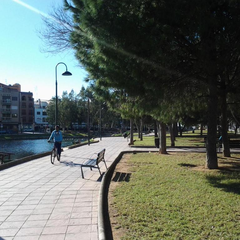 Primera línea en Playa Sur. Plaza Constitución - Apartamento - 29