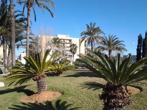 Primera línea en Playa Sur. Plaza Constitución - Apartamento - 32