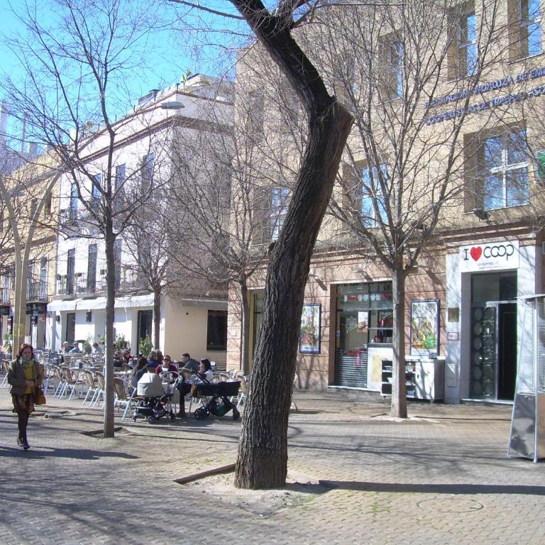 Medina Apartment and Parking Historical Center - Apartamento - 21