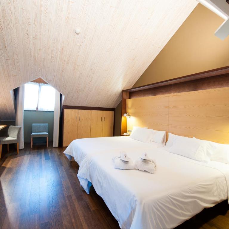 SOMMOS Hotel Aneto - Habitación Doble Superior - 1