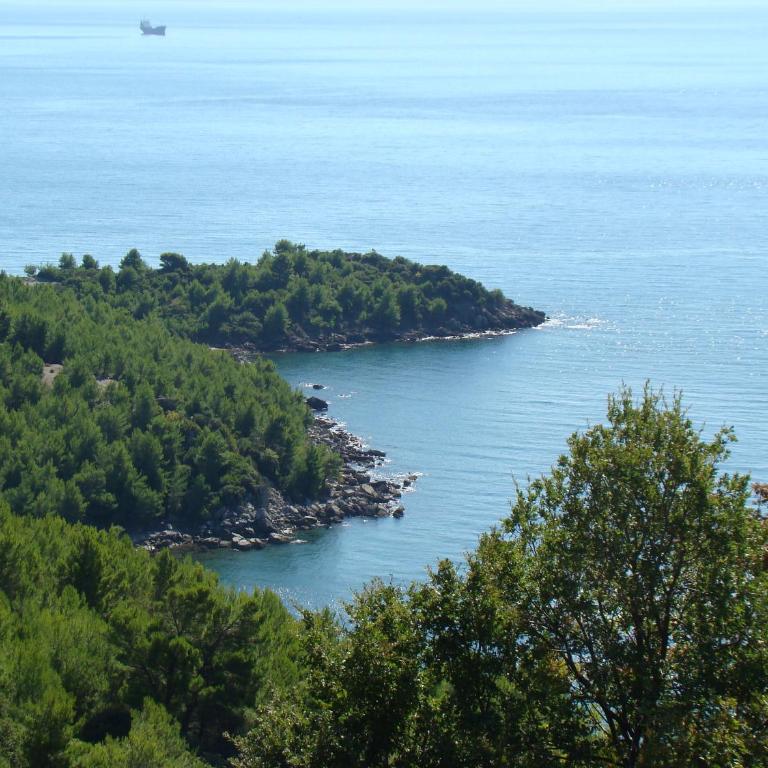 Apartments Jovanic with 2 bedrooms - Vila sa Pogledom na More - 11