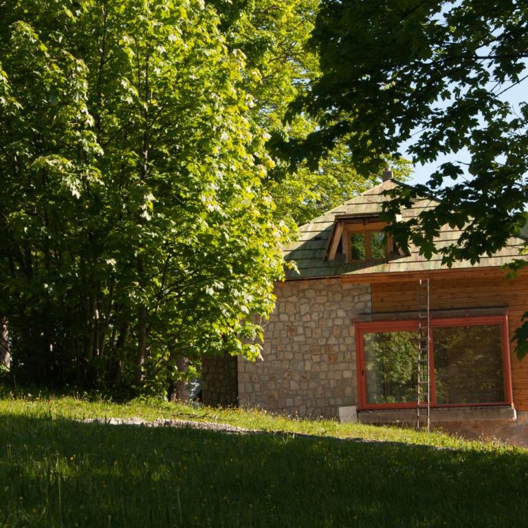 Green Forest - Villa - 35