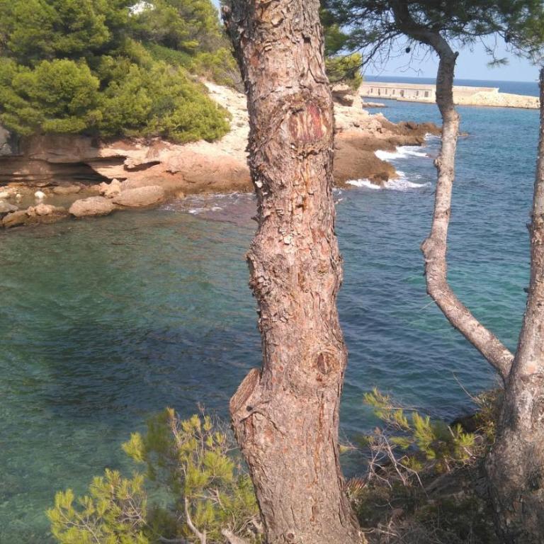 Mi morena cala llobeta 35 - Apartamento - 22