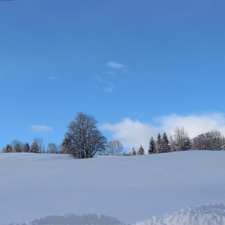 Le Chalet d'Ulysse - Chalet (10 Adultes) - 25