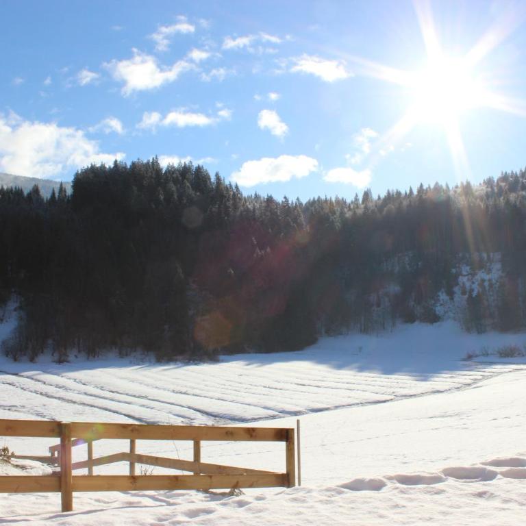 Le Chalet d'Ulysse - Chalet (10 Adultes) - 29