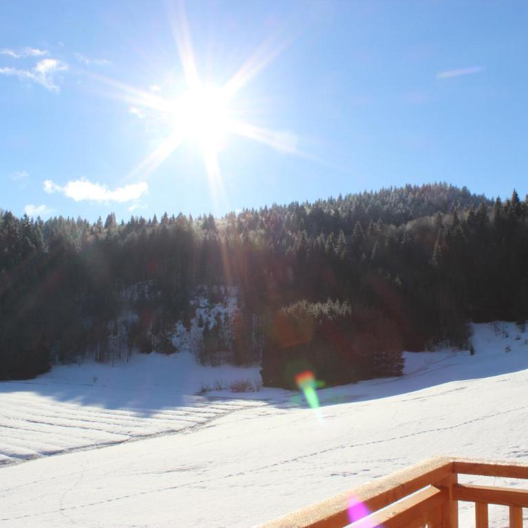 Le Chalet d'Ulysse - Chalet (10 Adultes) - 26