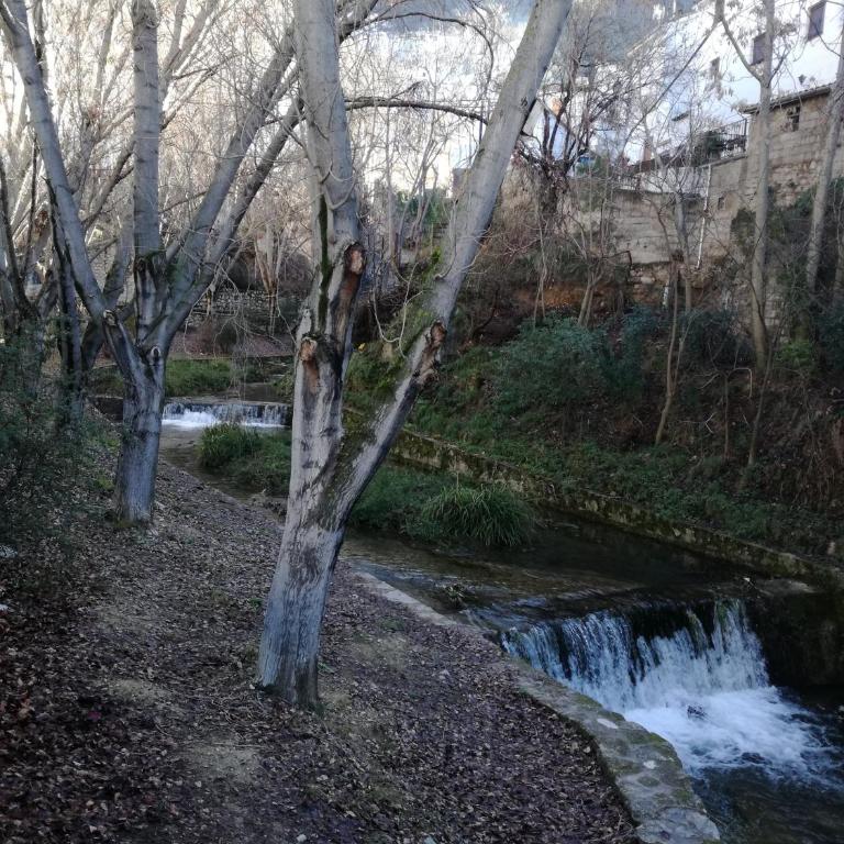 Vivienda Rural Rio Cerezuelo - Apartamento - 24
