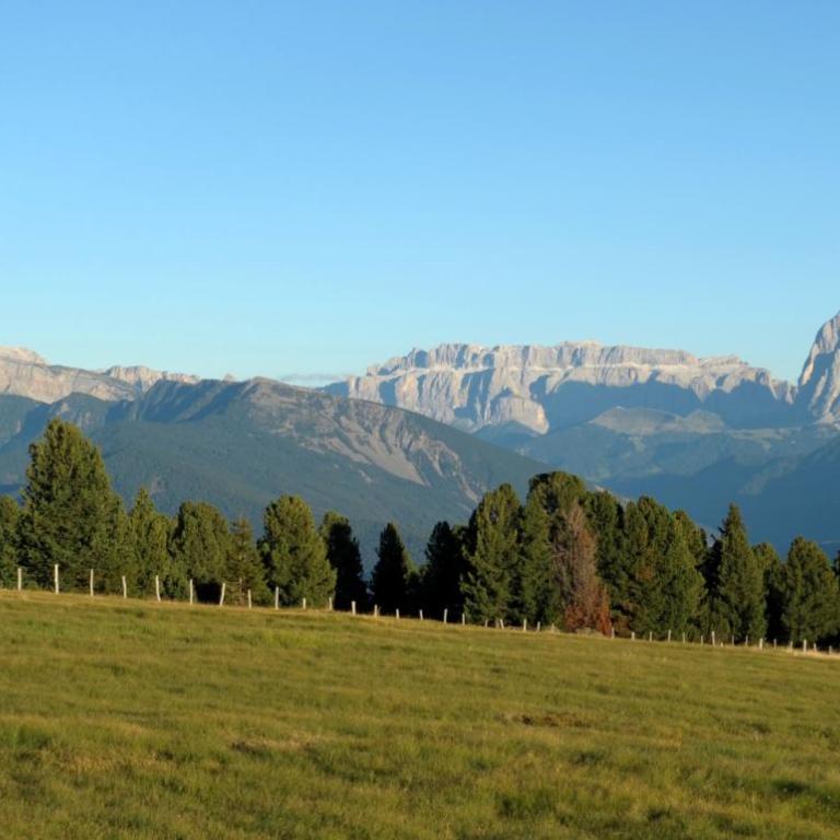 Finggeneislerhof - Appartamento - 25