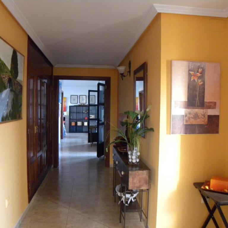 El Jardin de los Gatos Apartament - Appartement - Rez-de-Chaussée - 4