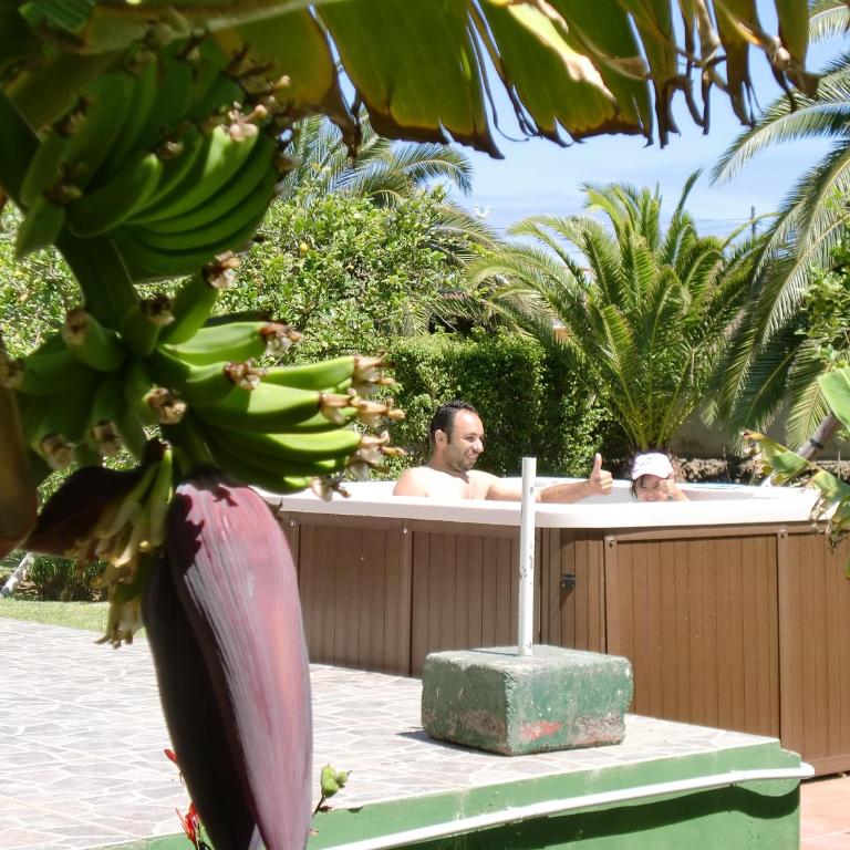 Finca La Gaviota - Los Limoneros - Casa de 4 dormitorios - 37