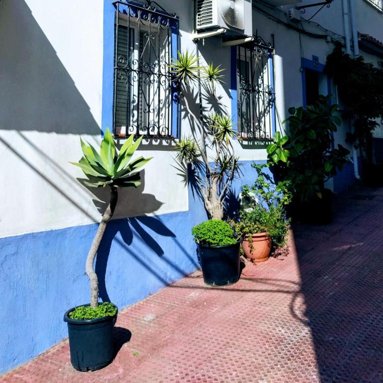 Casa-Casita - Apartamento - Planta baja - 4