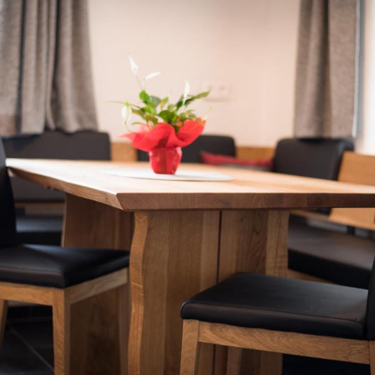 Gletscher Appartements - Appartamento con Terrazza - 14