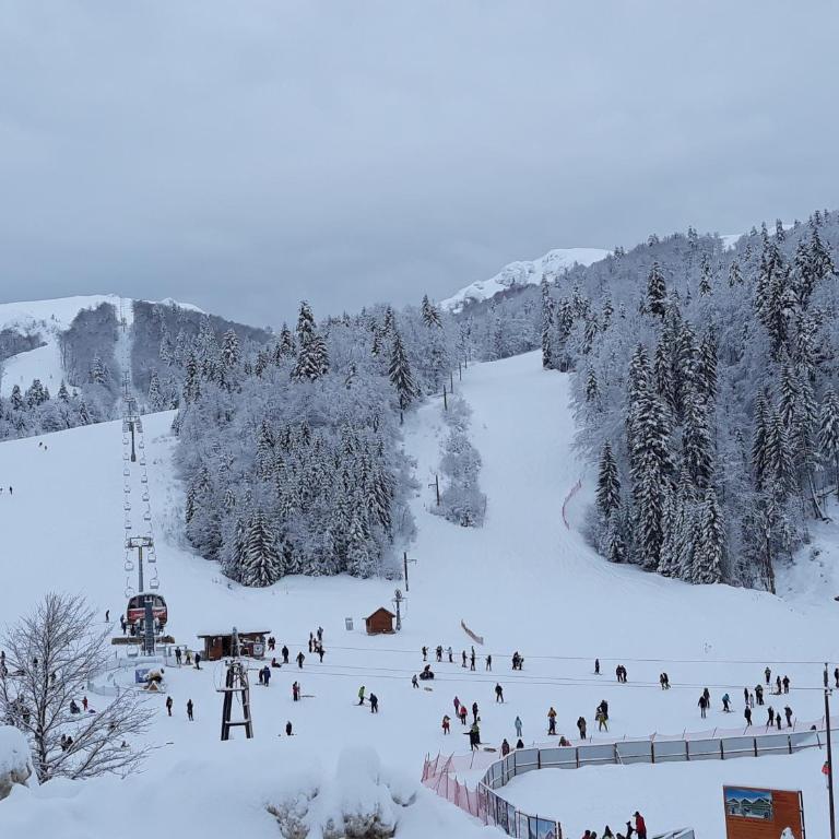 Lodge Breza Lux - Kuća sa 3 Spavaće Sobe - 53