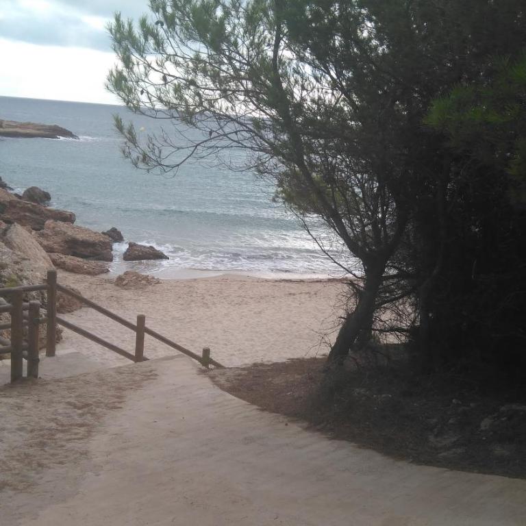 Mi morena cala llobeta 35 - Apartamento - 42