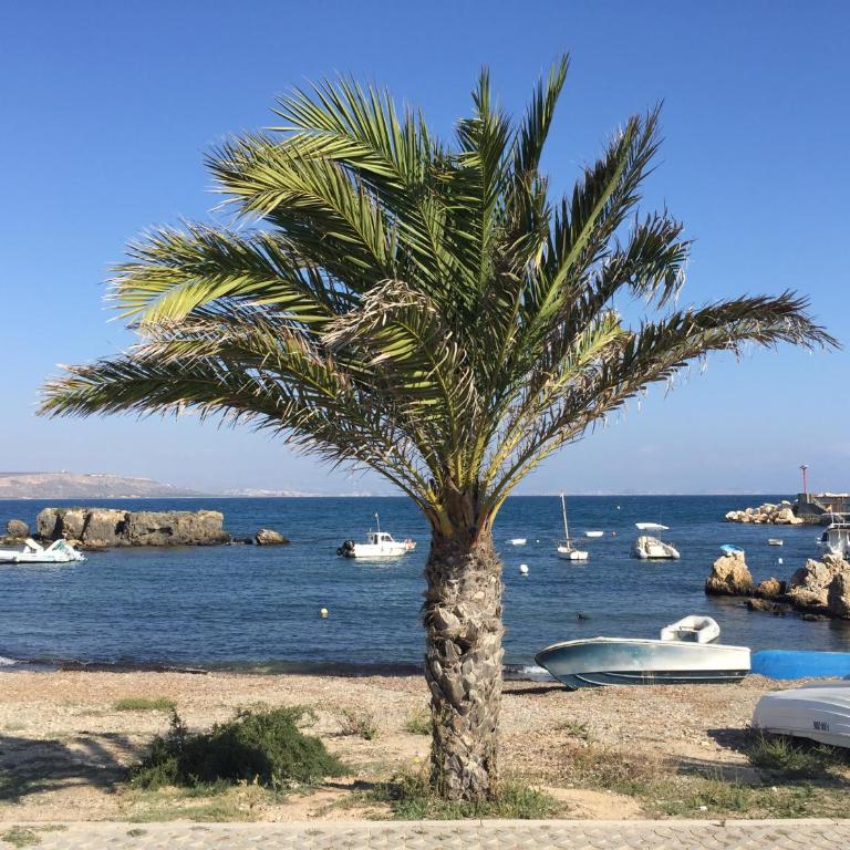SPLENDIDE F4 ALICANTE Santa Pola - Apartamento - 31