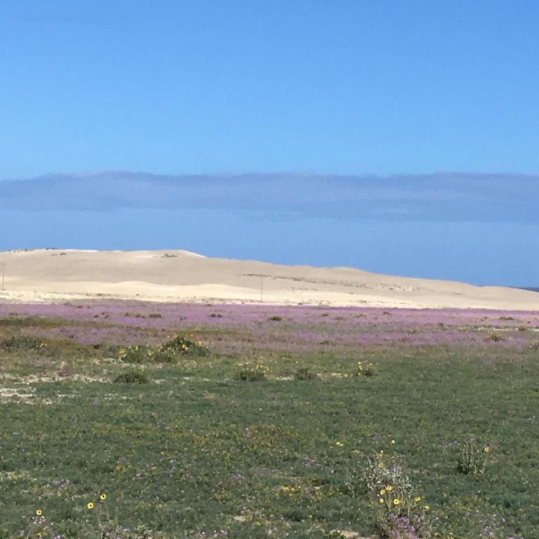 Kunza Kamanchacos - Family Room with Private Bathroom - 16