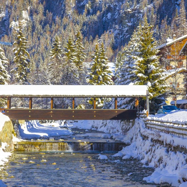 The Twins Apartment - Champoluc - Appartamento - 8