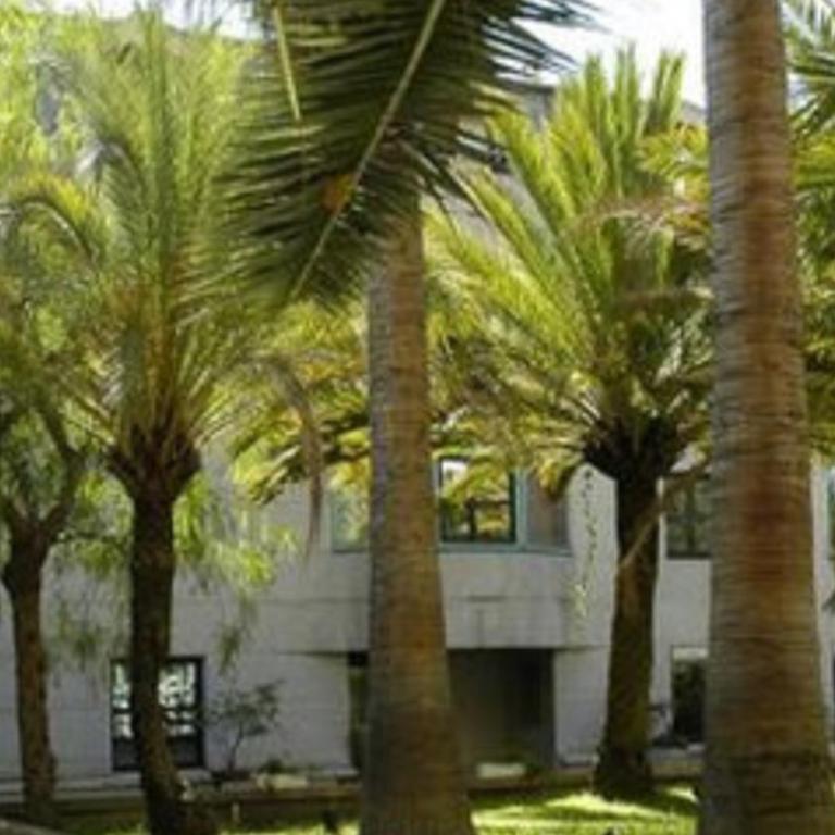 Superbe Studio in Nice at 450m from the sea with Clim - Appartement Deluxe - 9