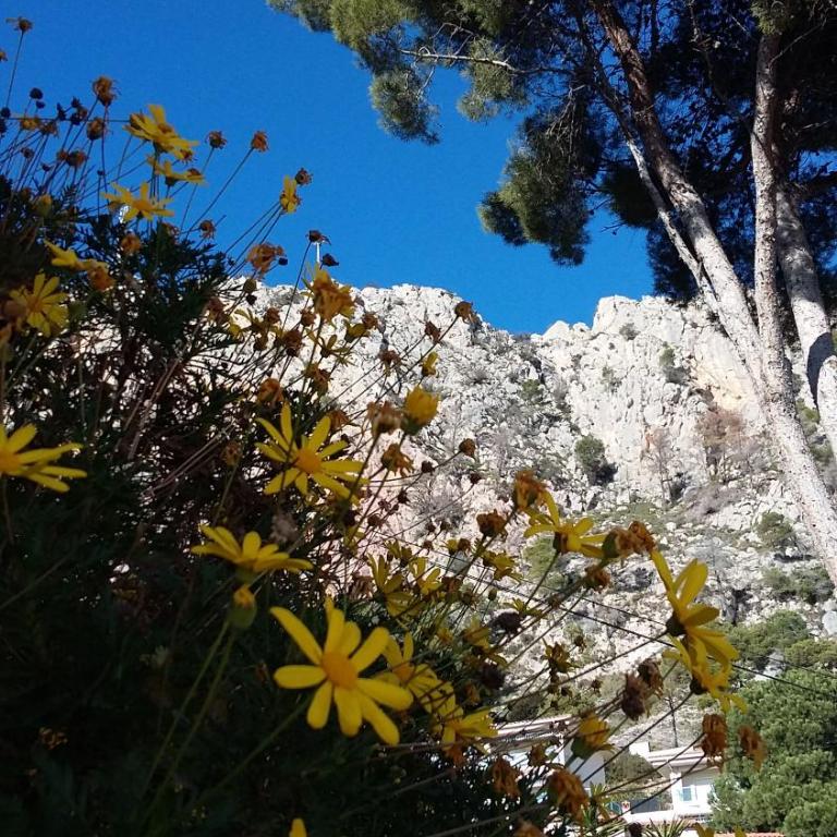 Mediterrania 98 - Casa Vacanze - 62
