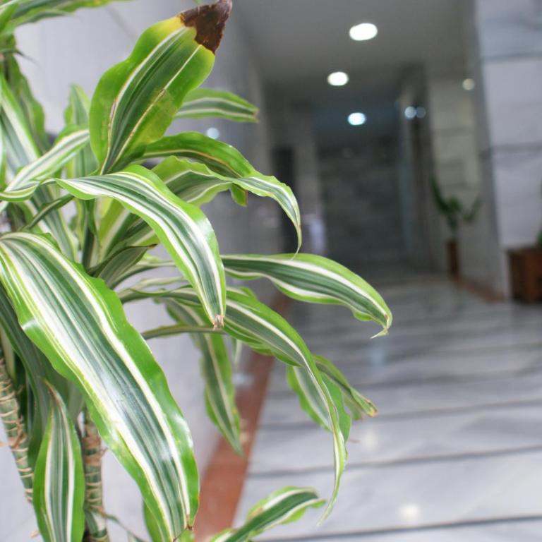 Calma Chicha - Studio Apartment - 27