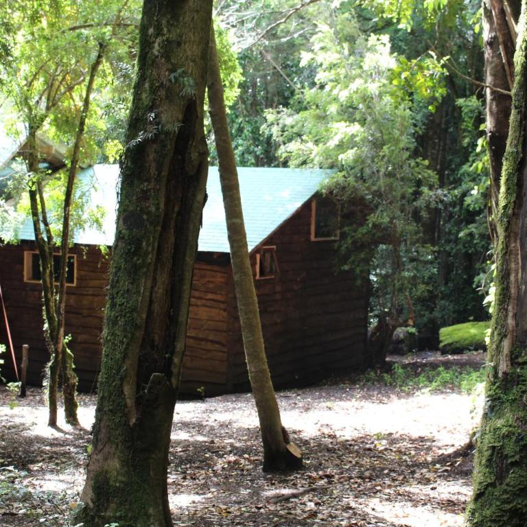 Cabaña Rustica Patagonia Chilena - Bungalow de 2 dormitorios - 7