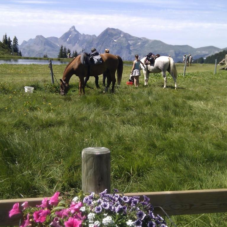 BelleVue centre, wifi, mountain view - Appartamento con Vista Montagna - 40