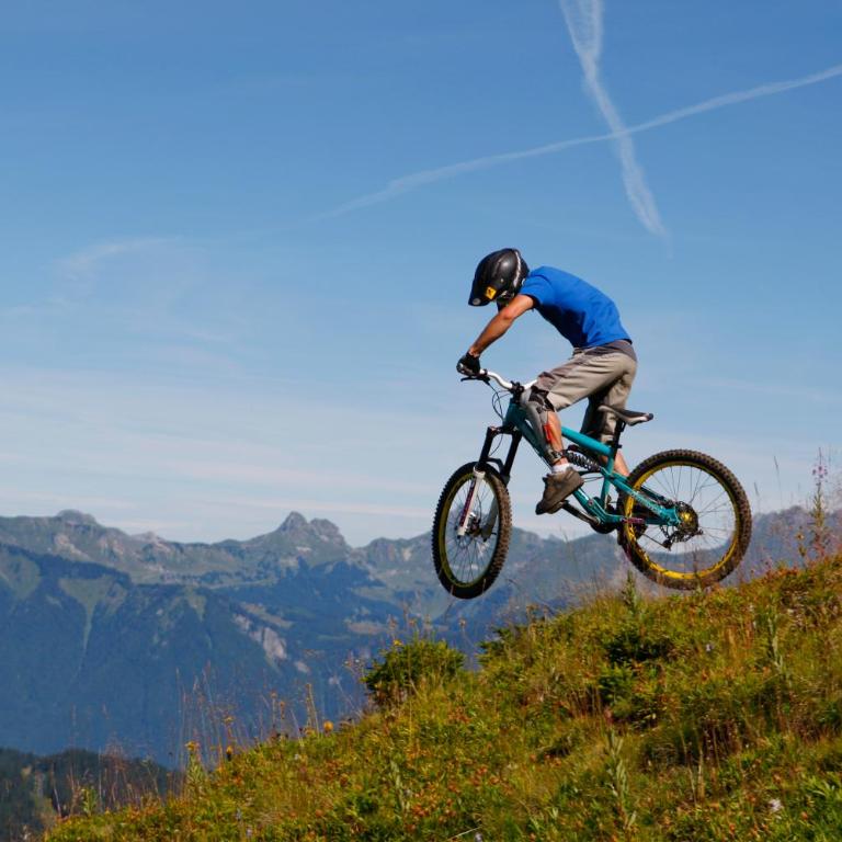 BelleVue centre, wifi, mountain view - Appartamento con Vista Montagna - 56