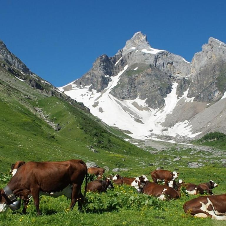 BelleVue centre, wifi, mountain view - Appartamento con Vista Montagna - 44