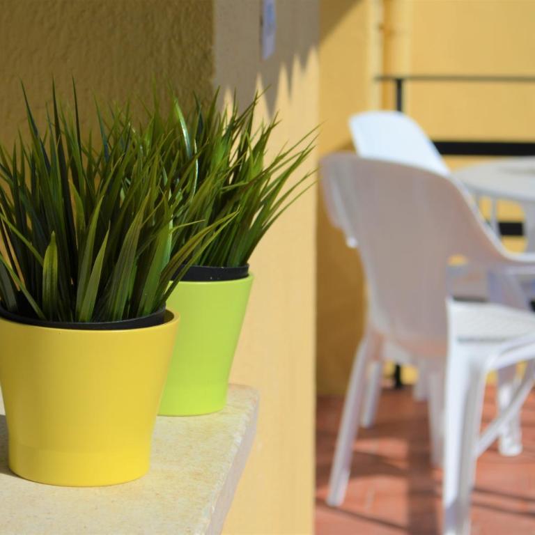 Primera línea en Playa Sur. Plaza Constitución - Apartamento - 30