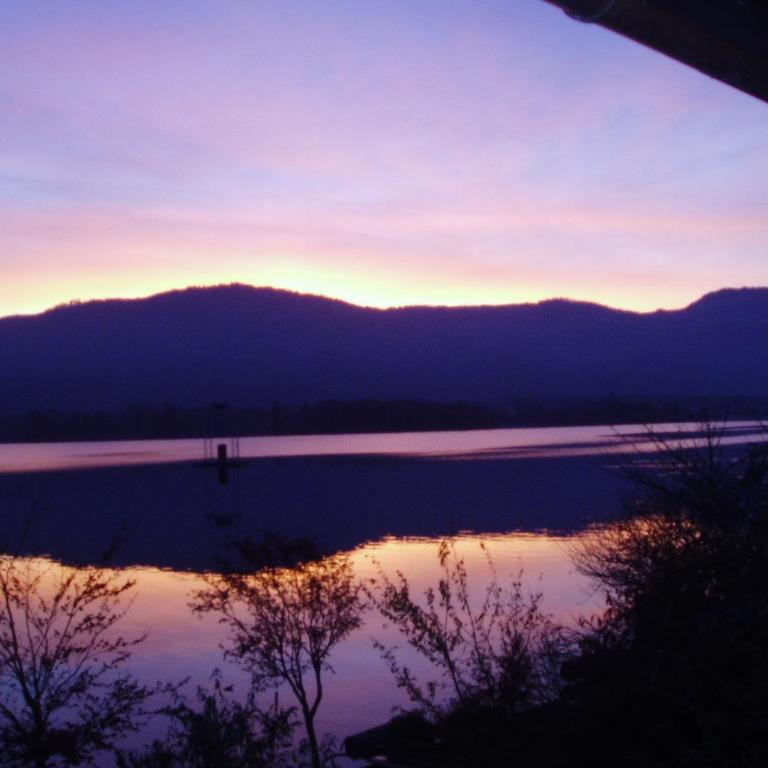 Wallner am See - One-Bedroom Apartment - 2