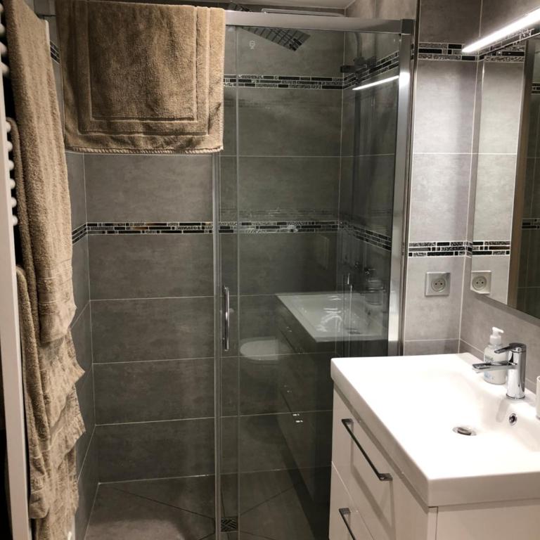 Tout schuss - Appartement - 9
