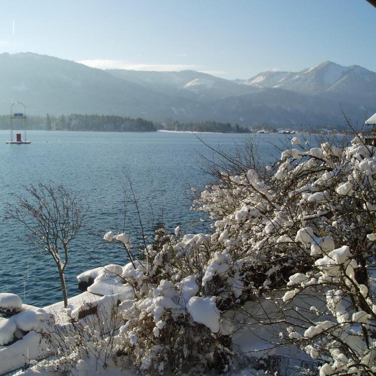 Wallner am See - One-Bedroom Apartment - 3