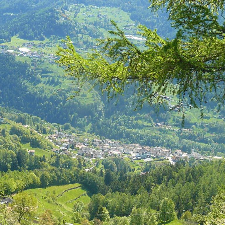 Baita Cavecia - Chalet - 28