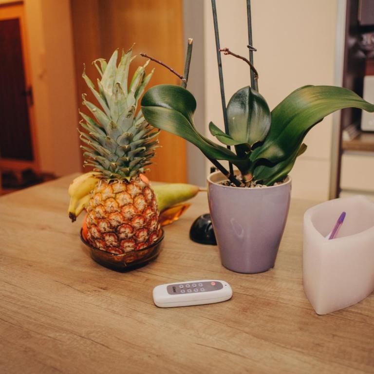 Brilliant Apartman - Apartment - 10