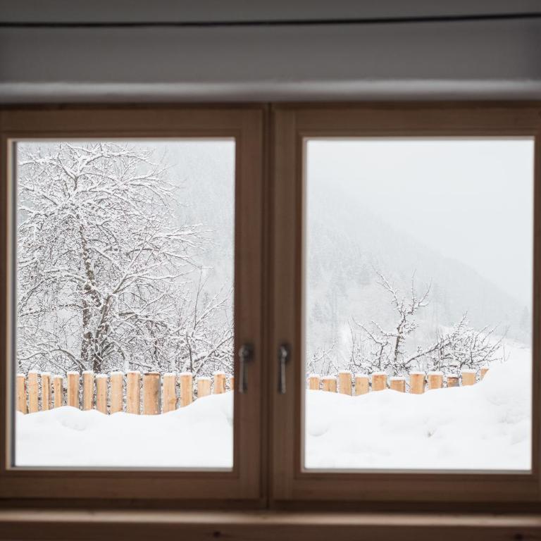 Gletscher Appartements - Appartamento con Vista Giardino - 3