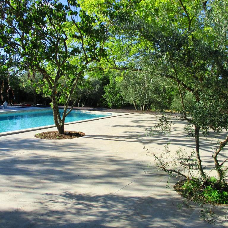 Le mas des Lilas - Appartement - Vue sur Piscine - 7