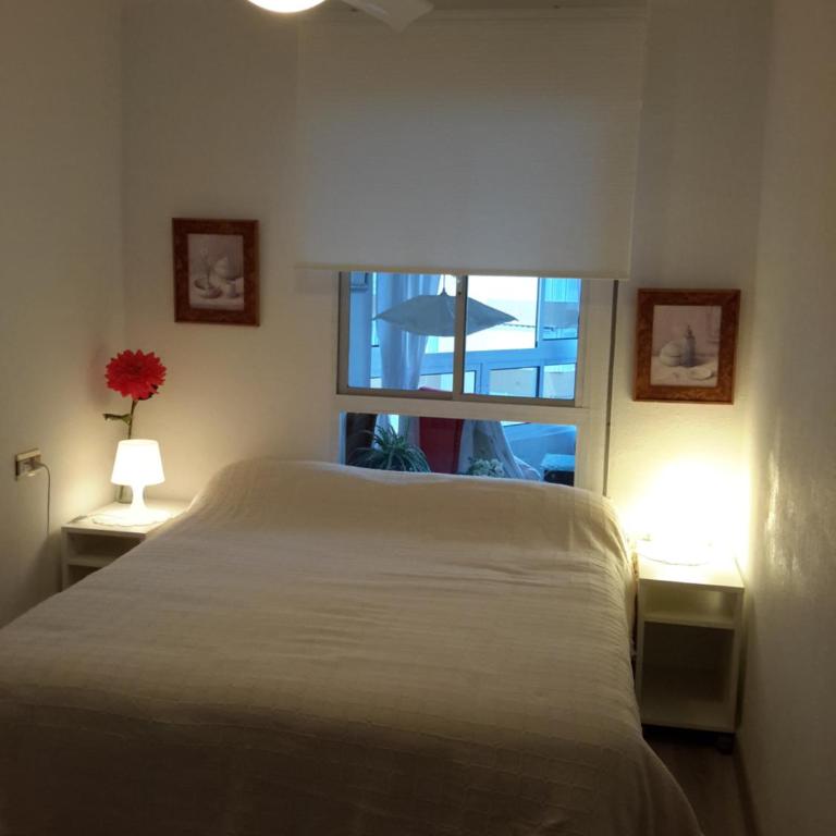 Torrox, superbe et sur la plage! - Apartamento - 23