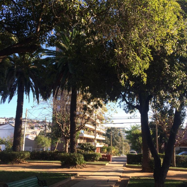 Dpto Viña del Mar - Apartment with Sea View - 11