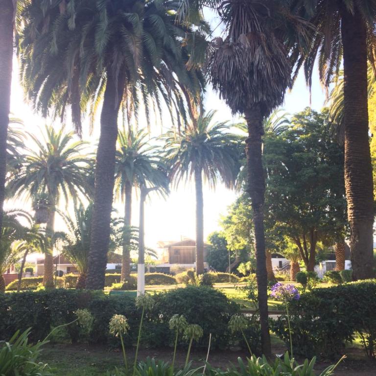 Dpto Viña del Mar - Apartment with Sea View - 46