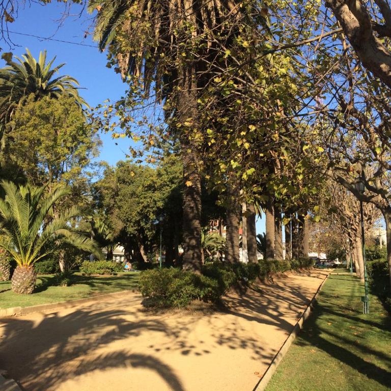 Dpto Viña del Mar - Apartment with Sea View - 42
