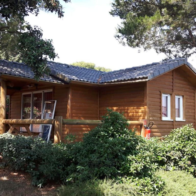 Parc résidentiel les Hauts de Baldy - Chalet 2 Chambres (6 Personnes) - 1