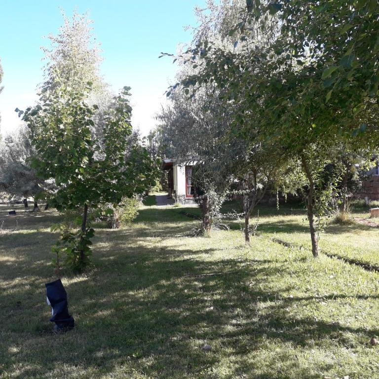Estancia Los Morros - Four-Bedroom House - 17