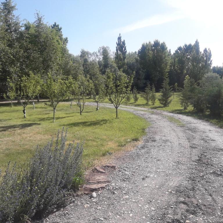 Estancia Los Morros - Four-Bedroom House - 9