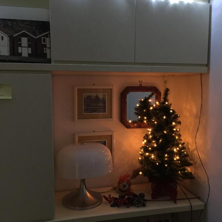 Lovely Irnerio ❤ flat near S. Pietro ★ - Apartment - 26