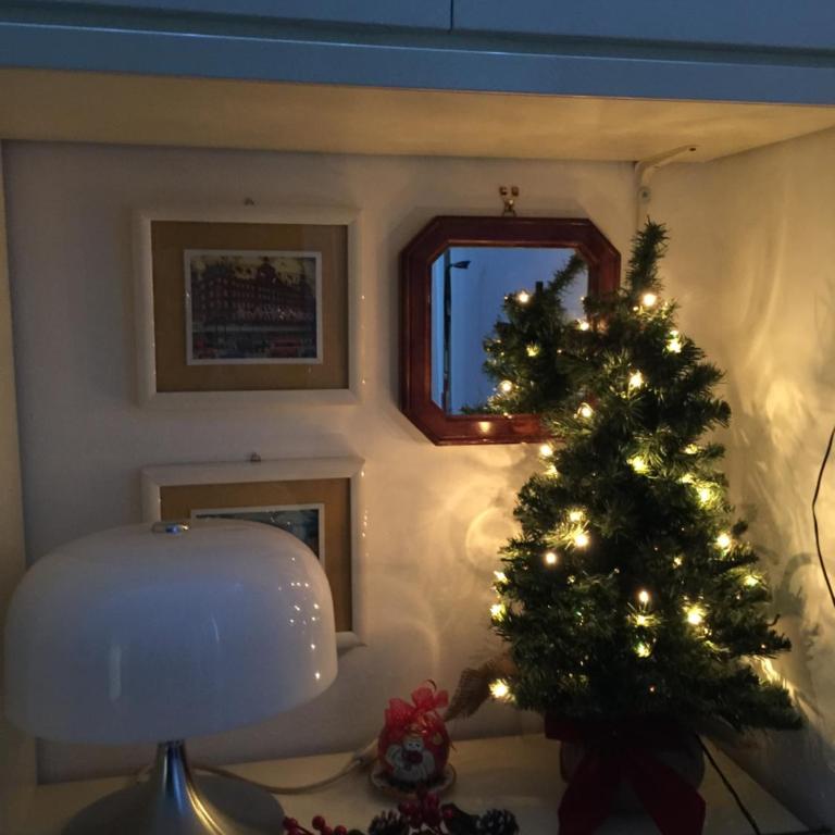 Lovely Irnerio ❤ flat near S. Pietro ★ - Apartment - 34