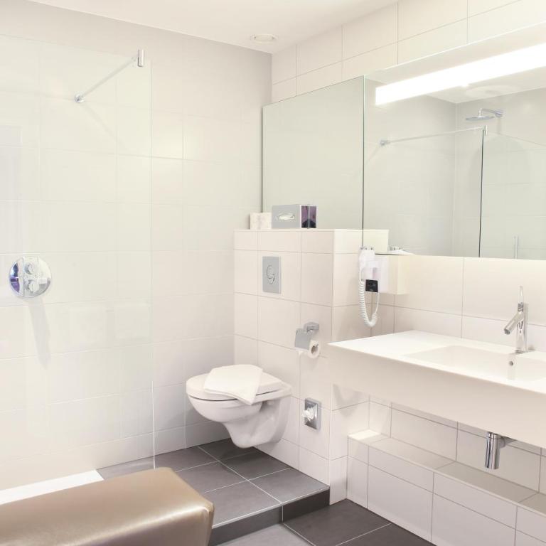 Logis Hôtel Ettenheim - Deluxe Double Room - 7