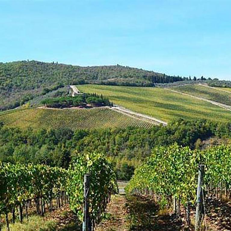 Casalta Di Pesa - Casa con 2 Camere da Letto - 23